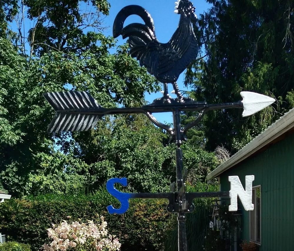 Expert yard cleanup service for homes in Forest Grove, OR by JD Greenland Maintenance Services