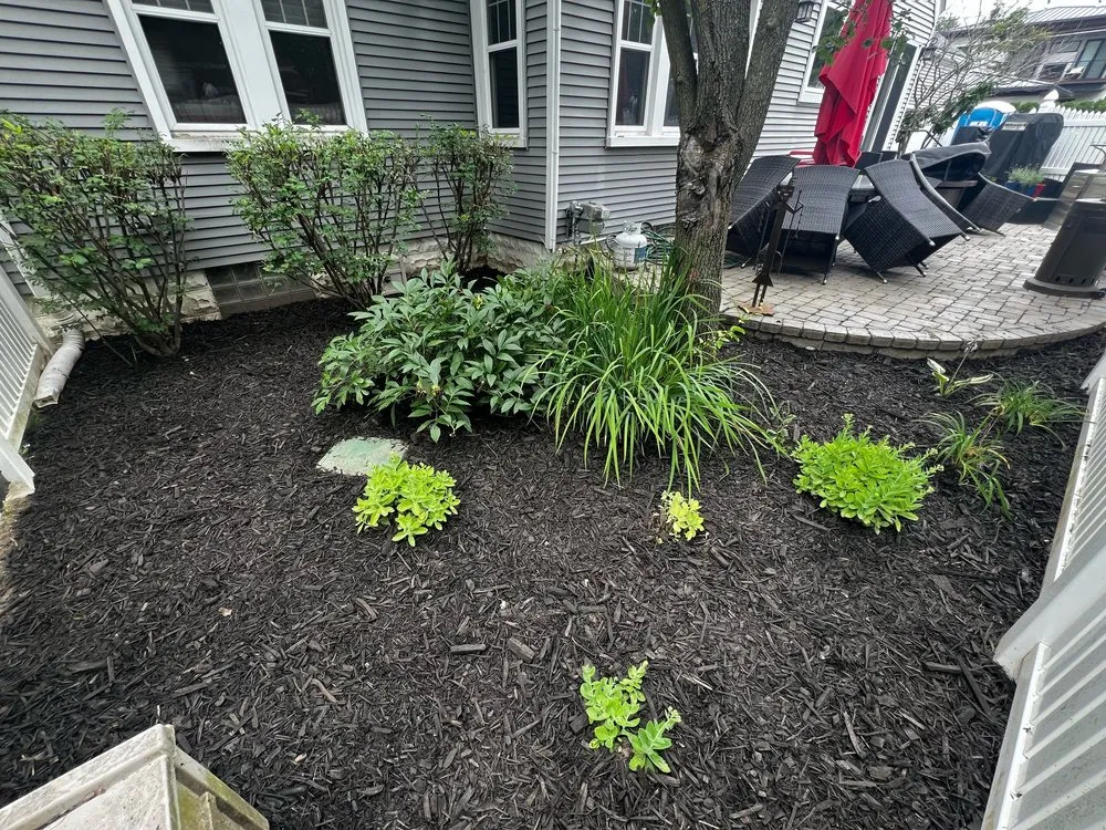 Trusted yard cleanup service in Macomb, MI - JD Hard & Landscapes