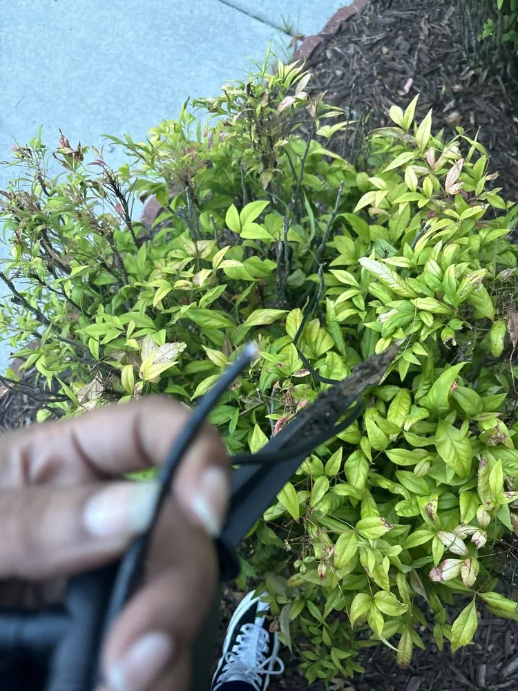 Local lawn mowing service for homes across Greensboro, NC - JD Harris Landscaping