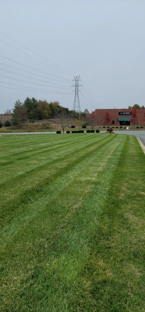 Professional garden landscaping in Greensboro, NC by JD Harris Landscaping