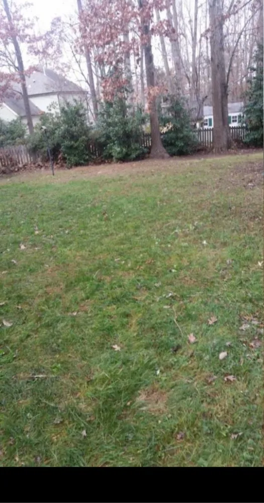 Professional lawn mowing service experts serving Greensboro, NC - JD Harris Landscaping