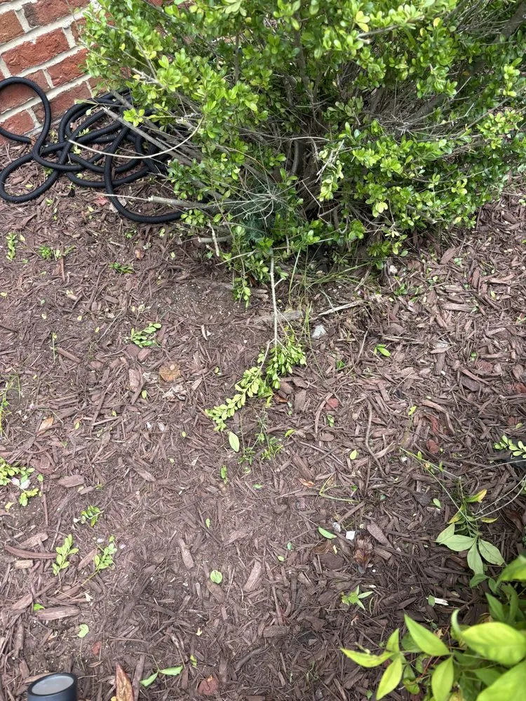 Expert lawn care service in Greensboro, NC - JD Harris Landscaping