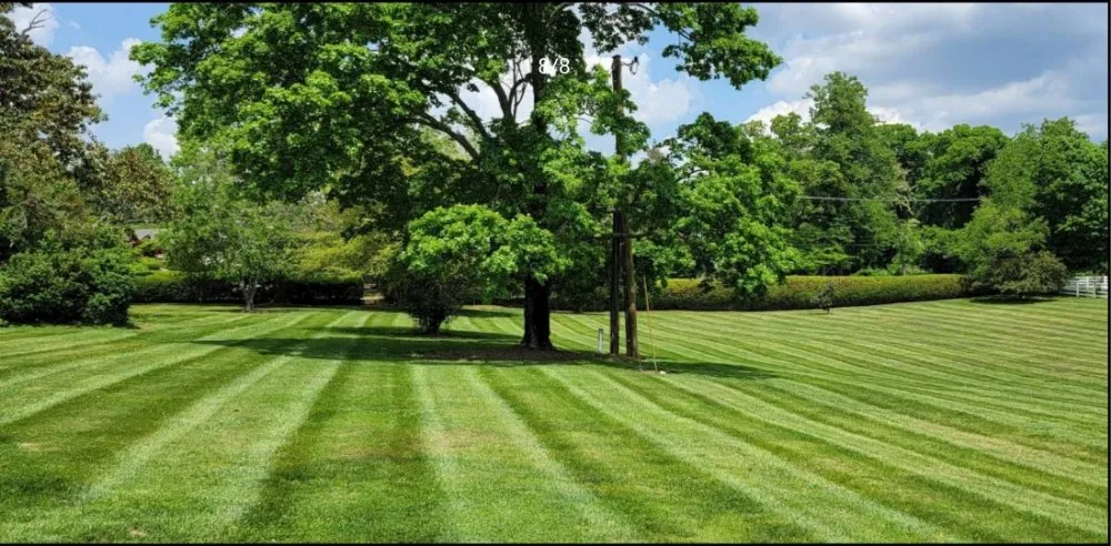 Top-rated lawn mowing service in Greensboro, NC by JD Harris Landscaping