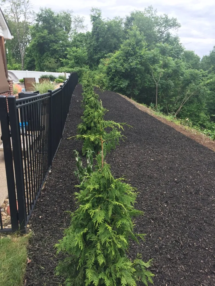 Professional yard maintenance in Carnegie, PA - JD Landscape & Construction