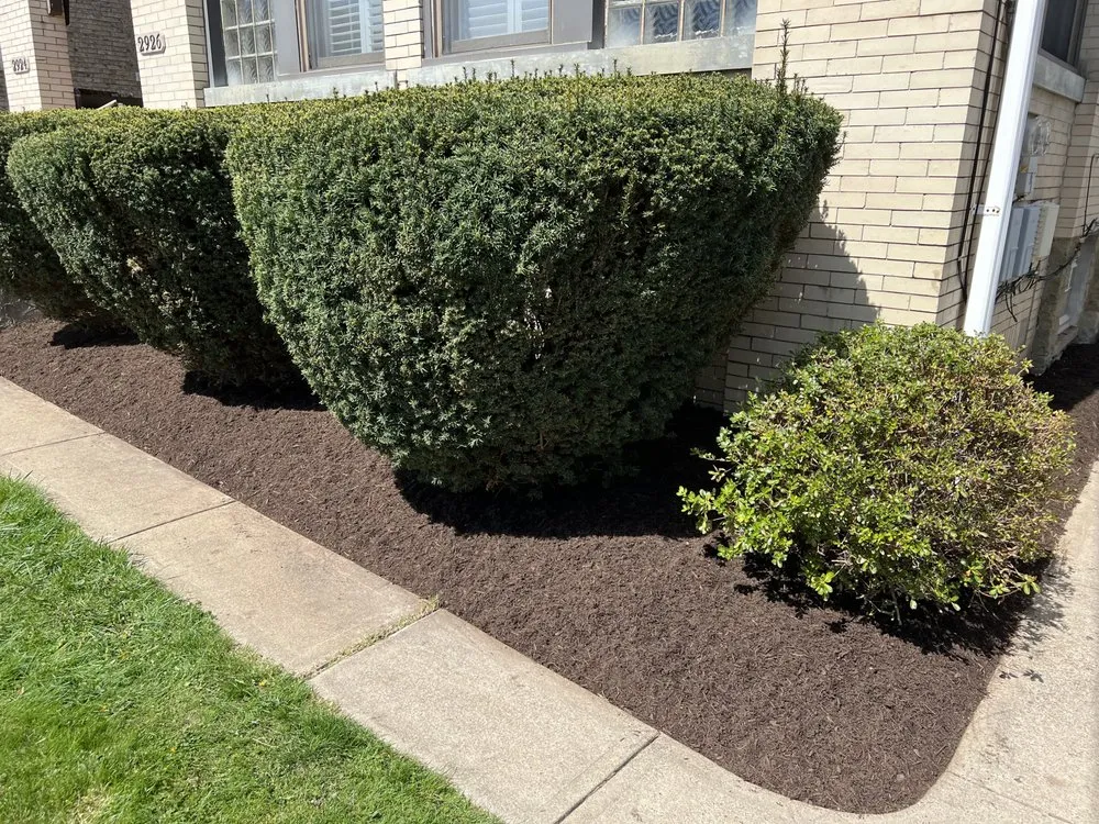 Local landscape installation experts serving Carnegie, PA - JD Landscape & Construction