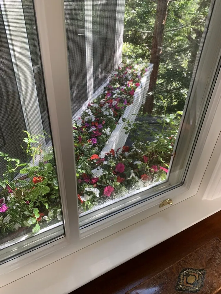 Trusted lawn mowing service for residential properties across Richmond, CA - JD Landscape & Construction