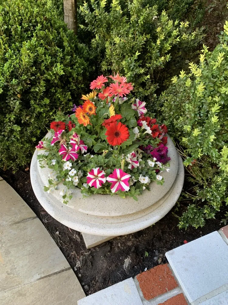 Professional landscaping services for outdoor upgrades in Richmond, CA by JD Landscape & Construction