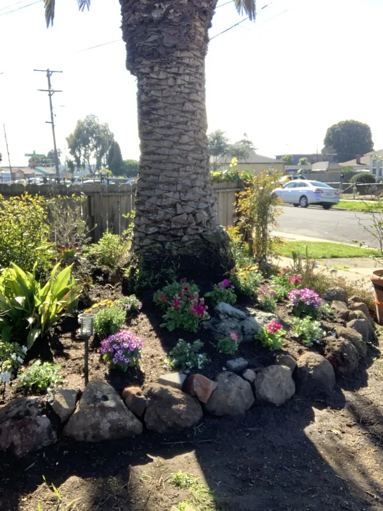 Trusted yard cleanup service near you in Richmond, CA by JD Landscape & Construction