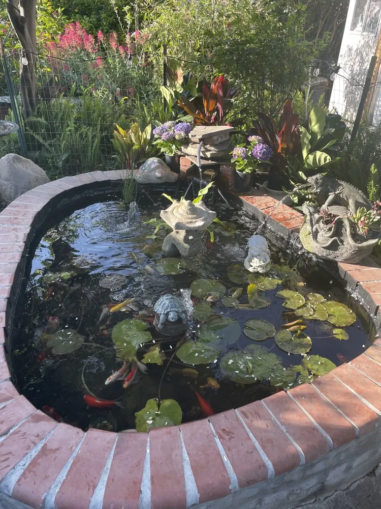 Expert lawn mowing service experts serving Richmond, CA - JD Landscape & Construction