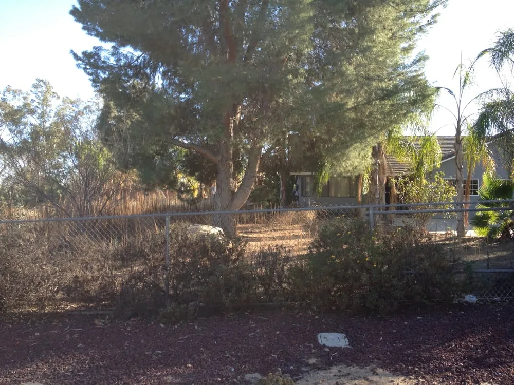 Top-rated lawn care service for homes across Corona, CA - JD Landscape and Maintenance