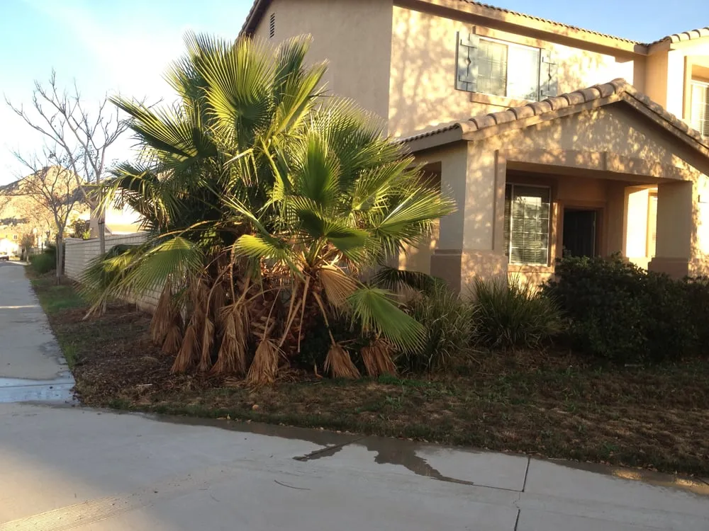 Expert yard cleanup service near you in Corona, CA by JD Landscape and Maintenance