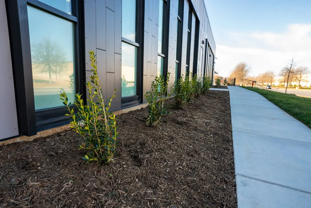 Top-rated landscaping services in Charlotte, NC by JD Landscape