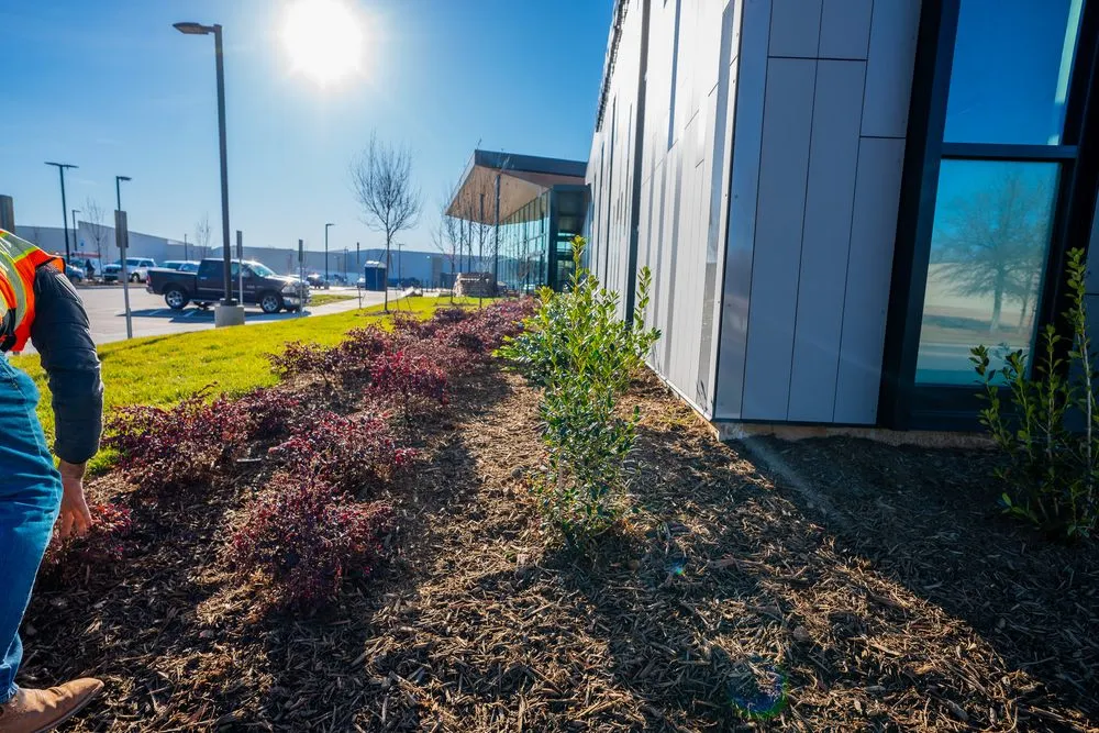 Professional lawn care service in Charlotte, NC - JD Landscape