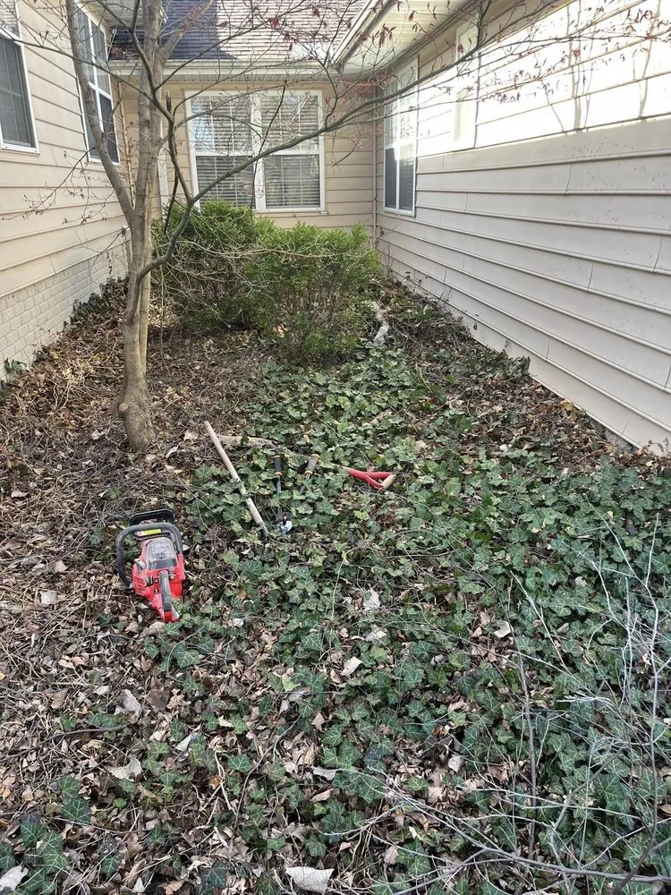 Affordable landscaping services for homes across Chillicothe, IL - J&D Landscape