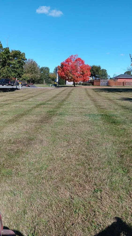 Top-rated landscape design for year-round maintenance in Trenton, NJ by JD Landscape Solution