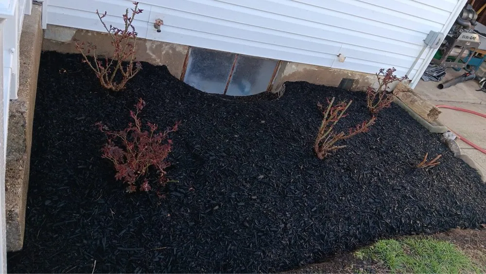 Expert yard maintenance for residential properties in Trenton, NJ by JD Landscape Solution