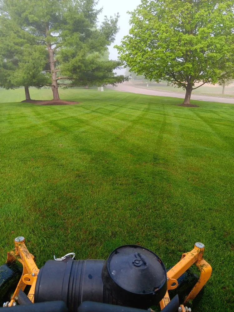 Local yard cleanup service in Trenton, NJ - JD Landscape Solution