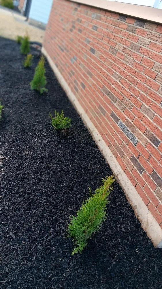 Custom lawn mowing service with custom design across Trenton, NJ - JD Landscape Solution