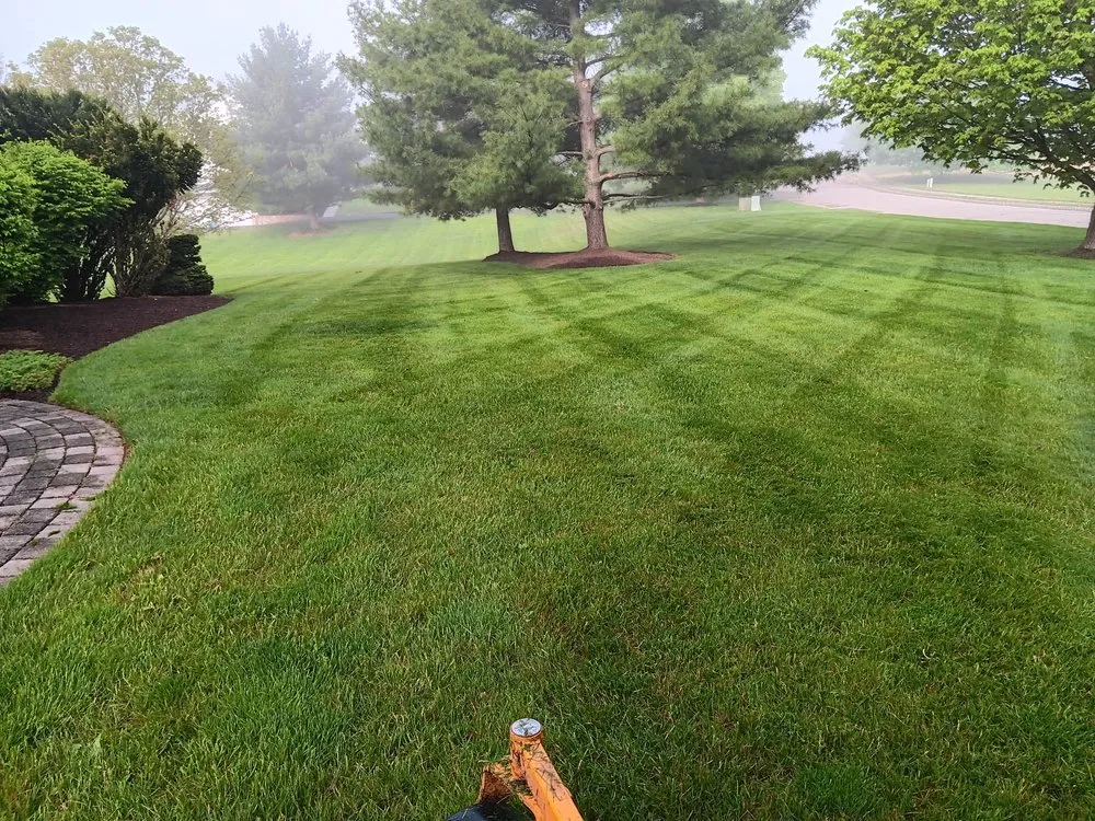 Top-rated landscape design for year-round maintenance in Trenton, NJ by JD Landscape Solution