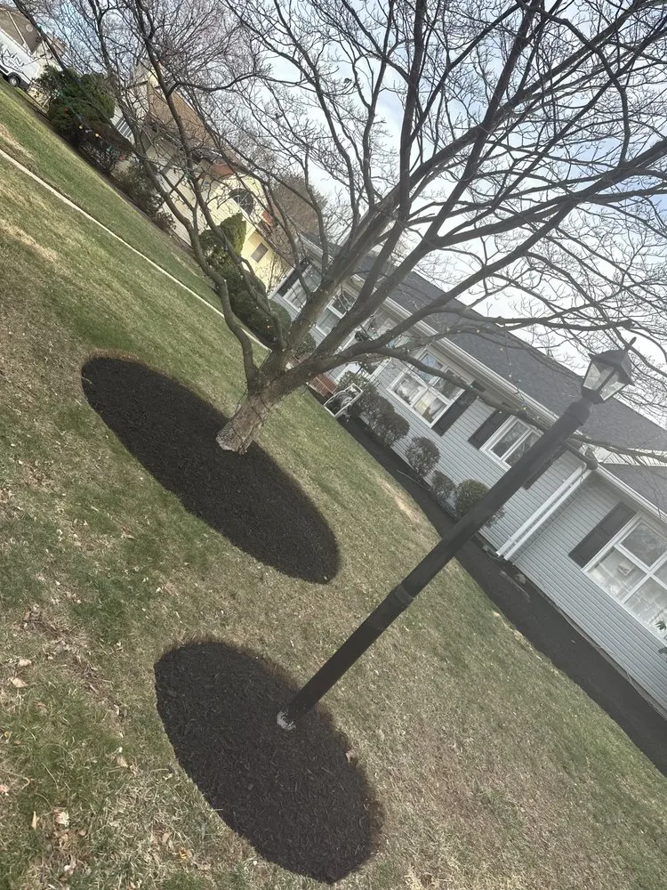 Top-rated yard cleanup service in Trenton, NJ - JD Landscape Solution