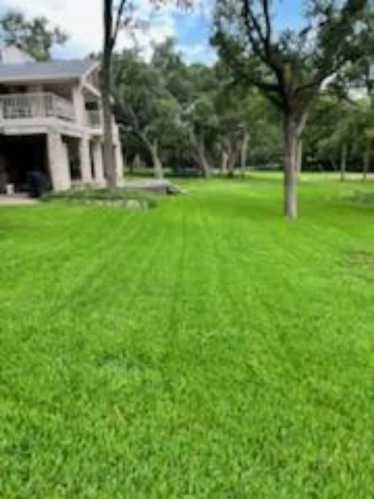 Top-rated landscape design experts serving Round Rock, TX - JD Landscaper