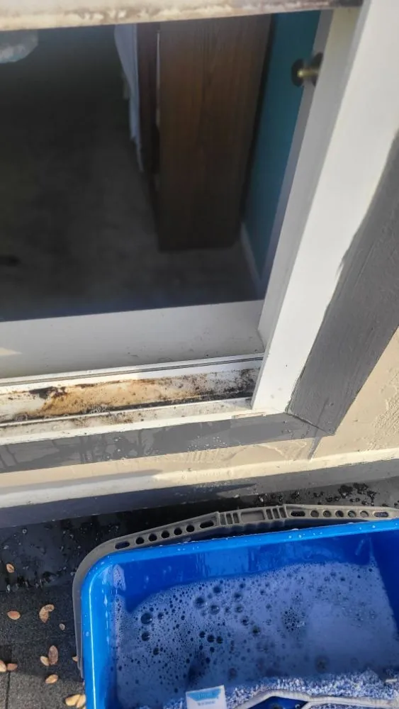 Local landscape design for beautiful yards in Round Rock, TX by JD Landscaper