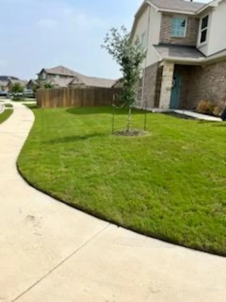 Local landscape installation for residential properties across Round Rock, TX - JD Landscaper