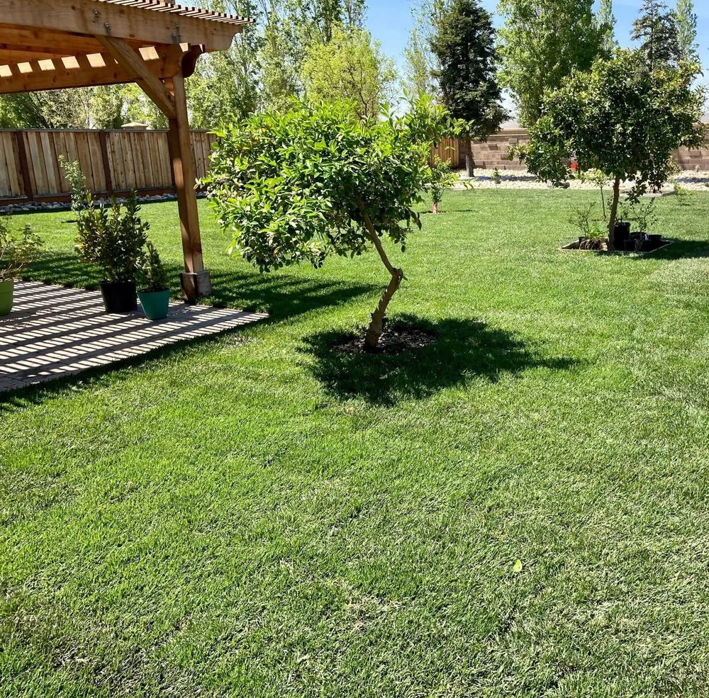 Affordable garden landscaping in Anderson, CA - JD Landscapes