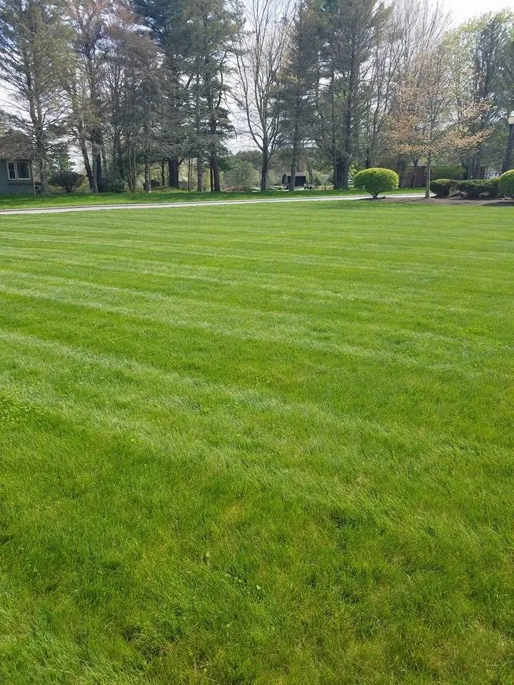 Professional landscaping services for beautiful yards in Burrillville, RI by J&D Landscaping & Lawn Care