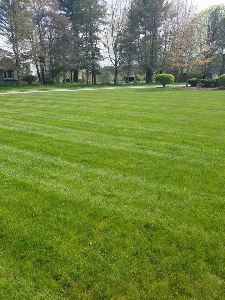 Local landscape design experts serving Burrillville, RI - J&D Landscaping & Lawn Care