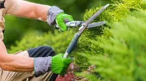 Reliable residential landscaping in Getzville, NY - JD Landscaping & Snowplowing