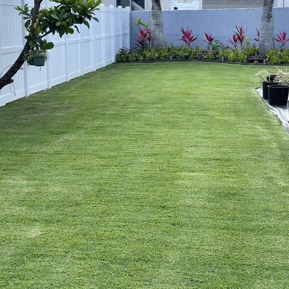 Affordable yard cleanup service in Honolulu, HI - JD Landscaping and Pressure Washing Services
