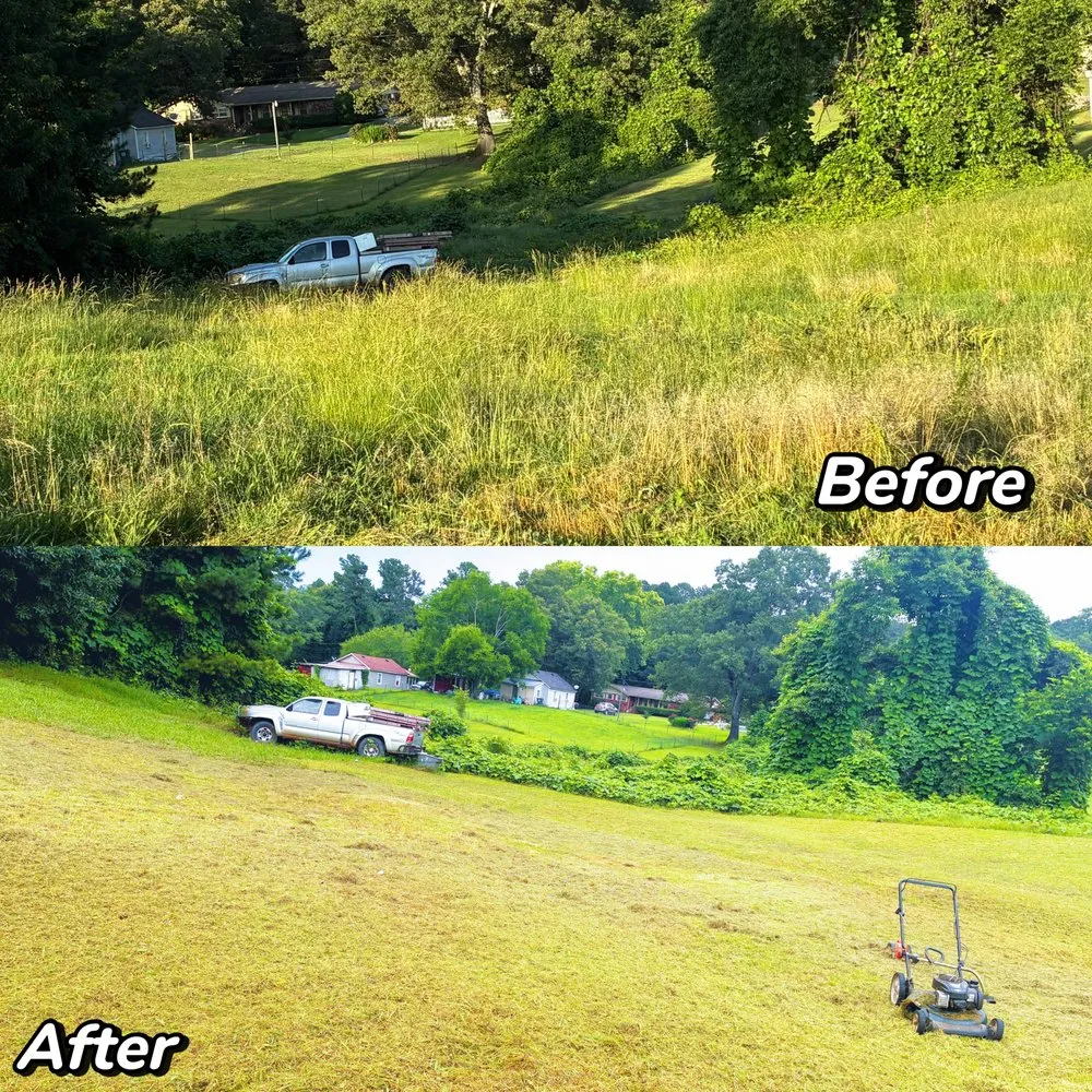 Professional landscape design for homes in Aragon, GA by JD Landscaping