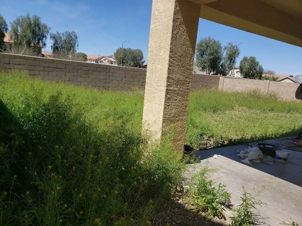 Local lawn mowing service in Glendale, AZ by J&D Landscaping