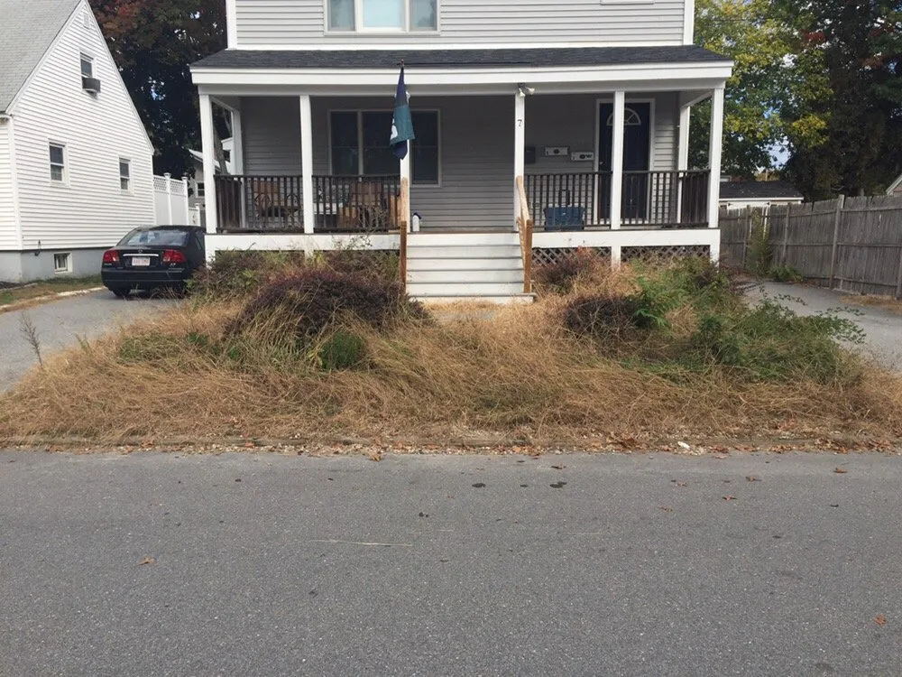 Professional yard cleanup service in Kernersville, NC by JD Landscaping
