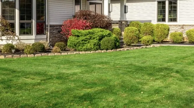 Reliable yard maintenance near you in Fayetteville, NC by JD Landscaping Lawncare and Clearing