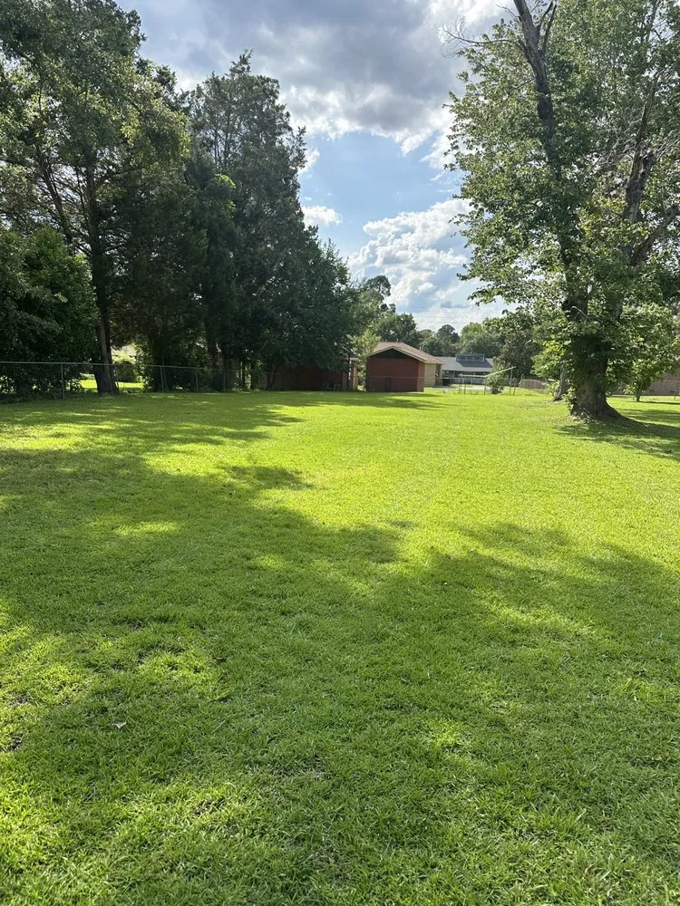 Trusted landscape design experts serving Orangeburg, SC - J&D Landscaping