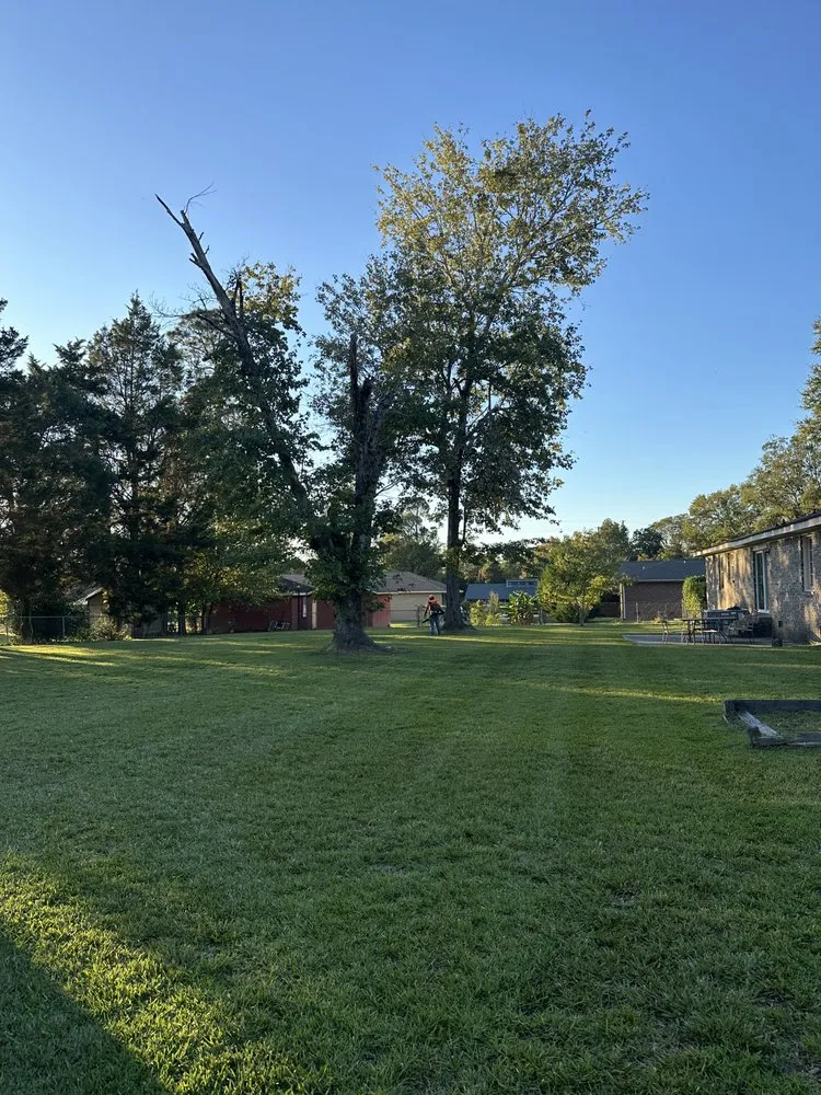 Expert garden landscaping in Orangeburg, SC by J&D Landscaping