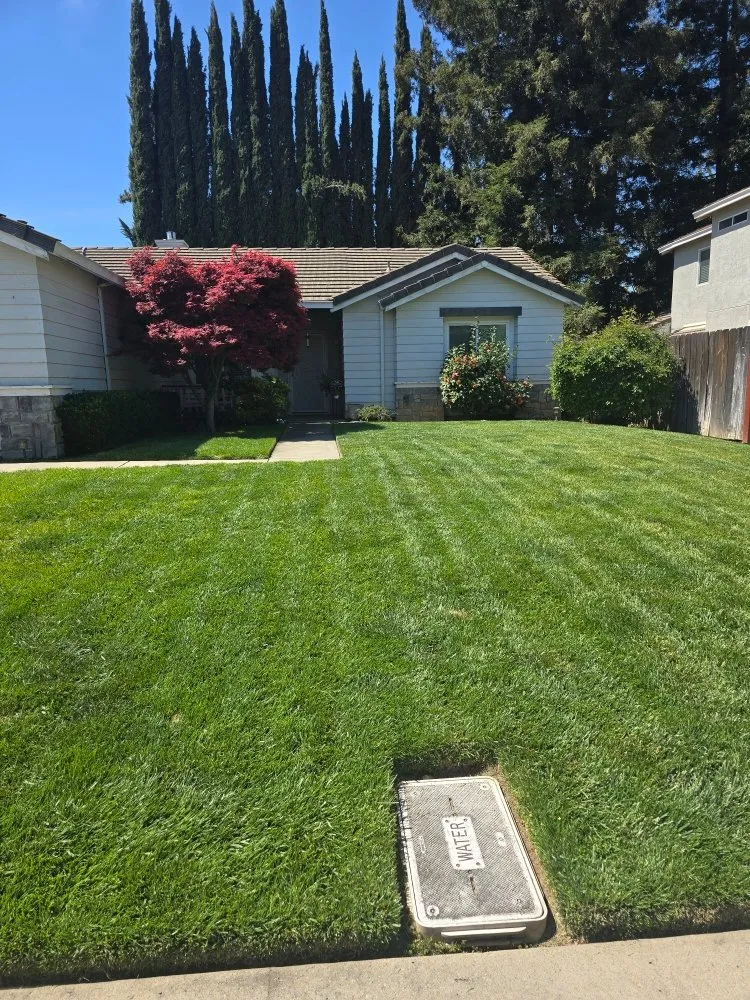 Trusted landscape design in Riverbank, CA - JD Landscaping