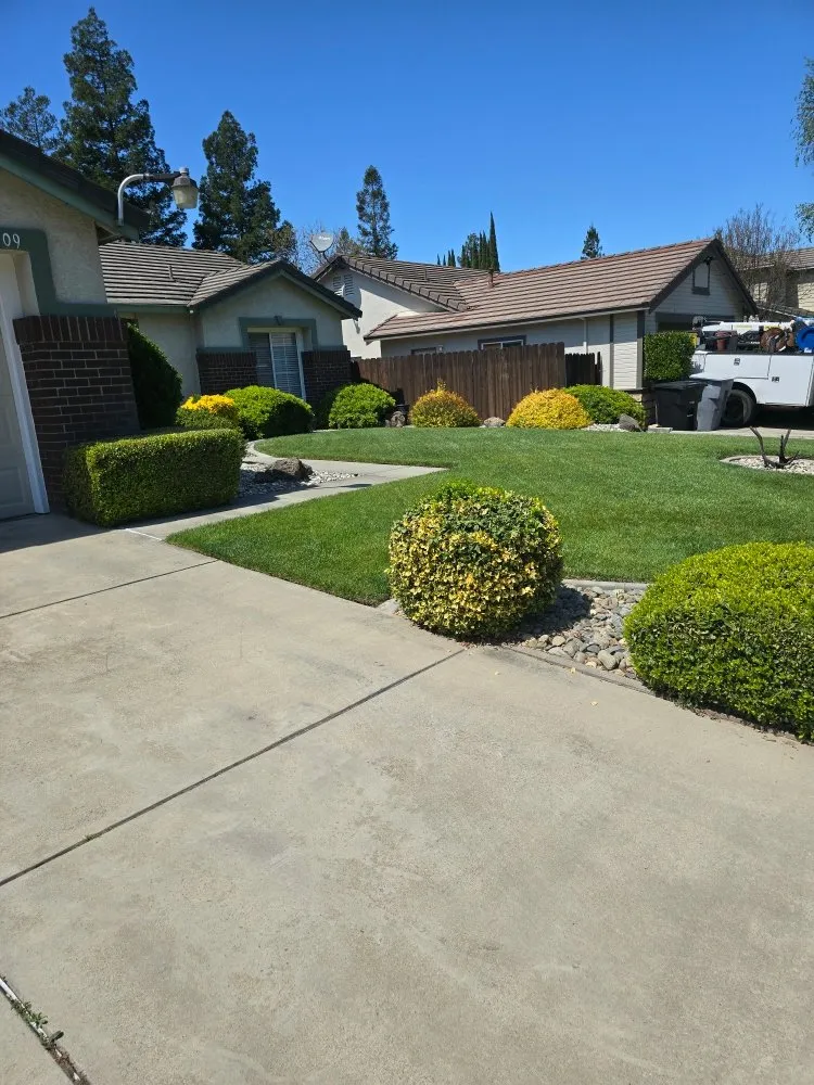 Professional landscape design in Riverbank, CA - JD Landscaping