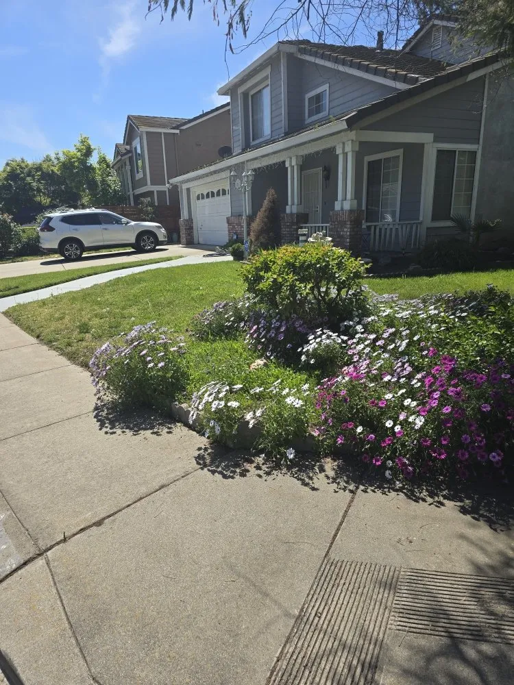 Top-rated yard maintenance for outdoor upgrades across Riverbank, CA - JD Landscaping