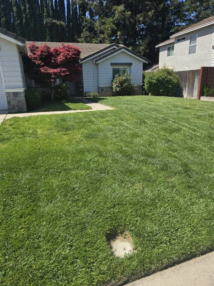 Reliable garden landscaping experts serving Riverbank, CA - JD Landscaping