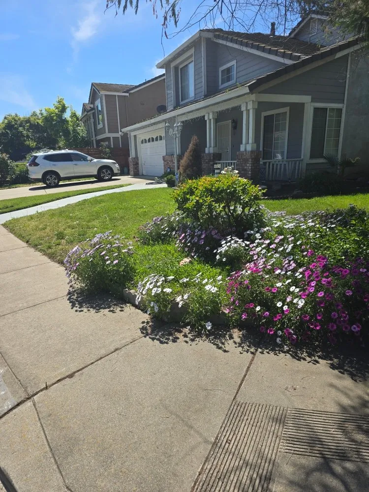 Professional lawn care service experts serving Riverbank, CA - JD Landscaping