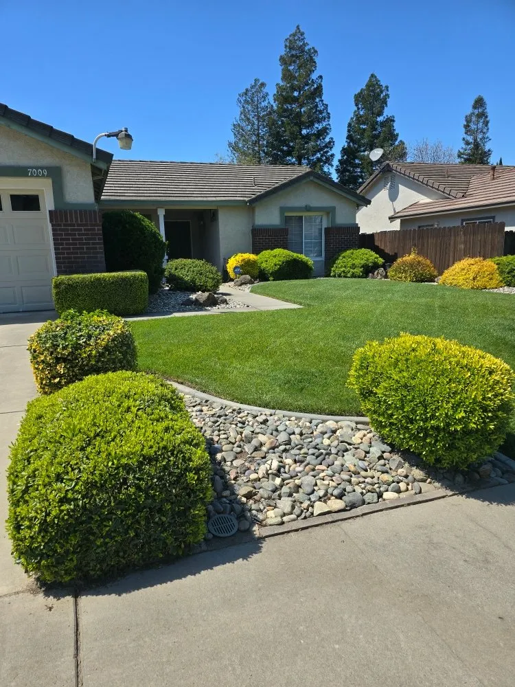 Local landscaping services experts serving Riverbank, CA - JD Landscaping