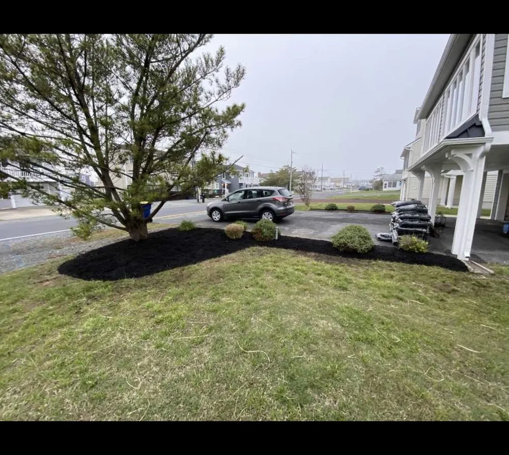 Affordable yard cleanup service in Salisbury, MD - J&D Landscaping