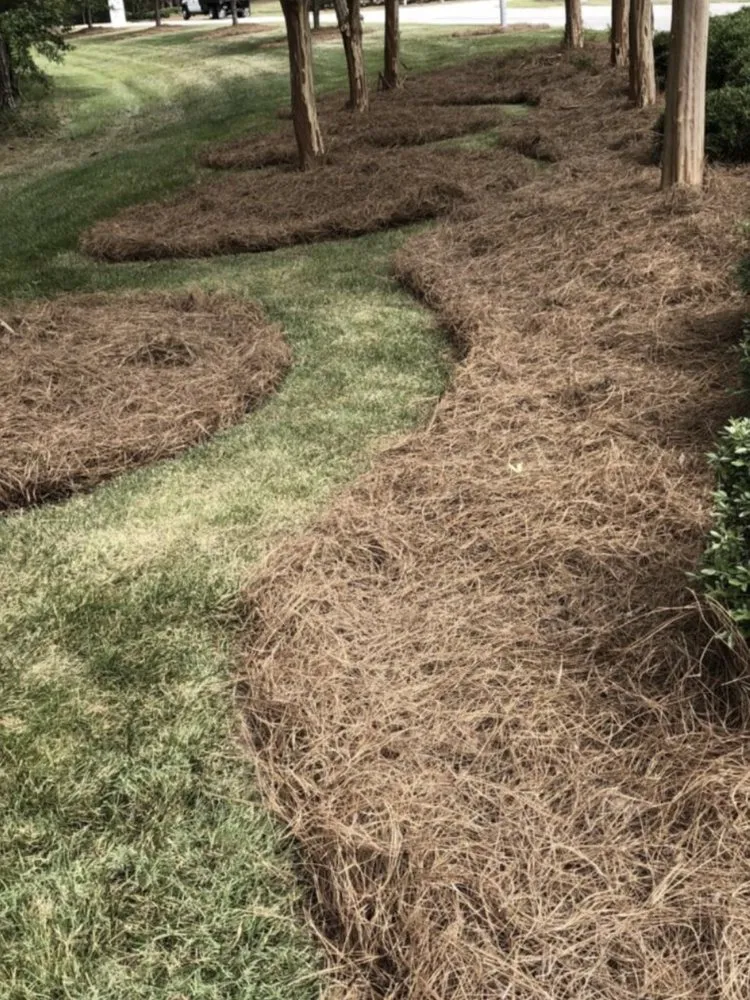 Custom lawn mowing service experts serving Salisbury, MD - J&D Landscaping