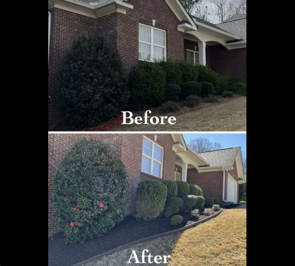Trusted yard cleanup service experts serving Salisbury, MD - J&D Landscaping