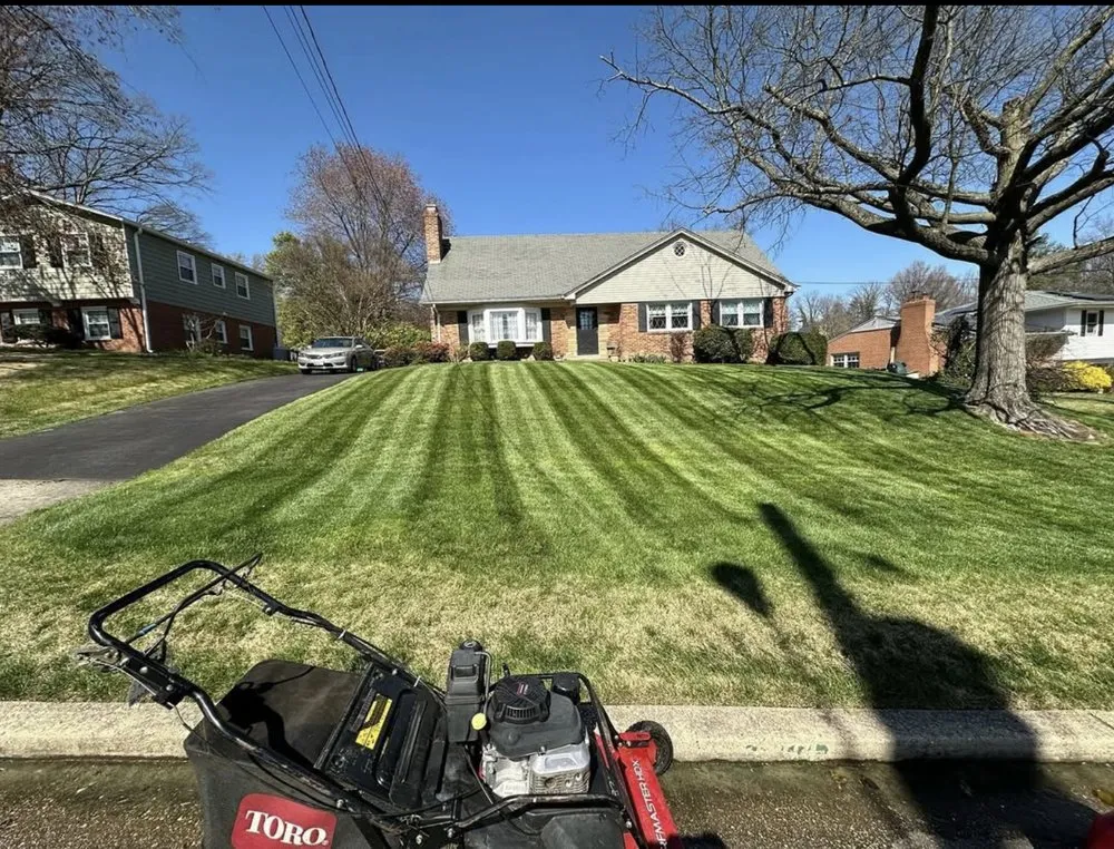 Expert residential landscaping experts serving Silver Spring, MD - J&D Landscaping Services