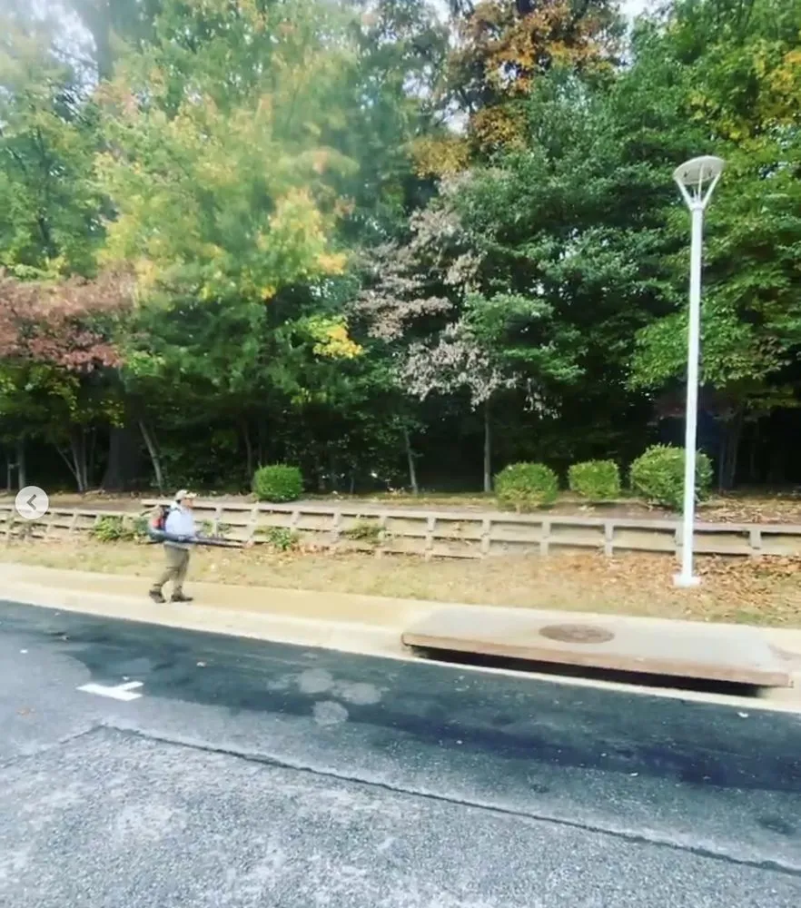 Top-rated landscape design near you in Silver Spring, MD by J&D Landscaping Services