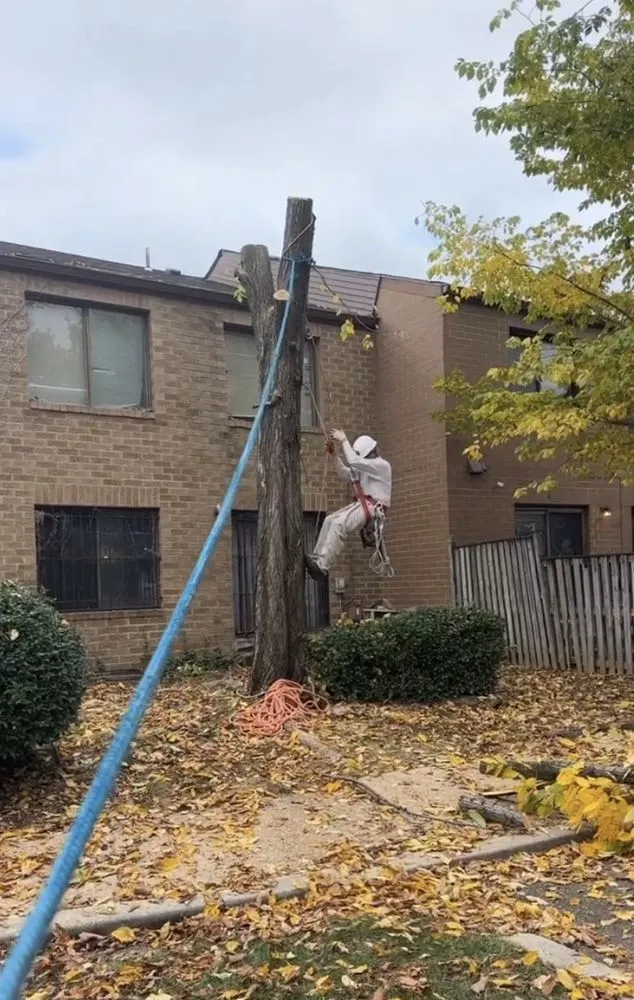 Affordable outdoor landscaping in Silver Spring, MD - J&D Landscaping Services